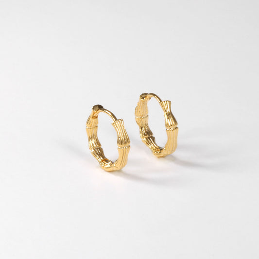 ISA Gold Earrings