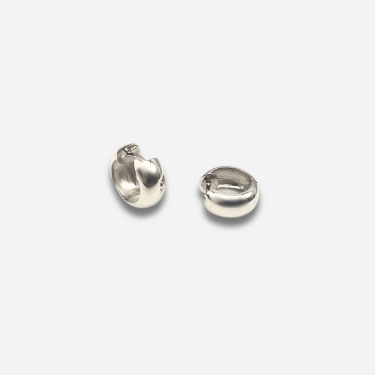 ALDELA Silver earrings