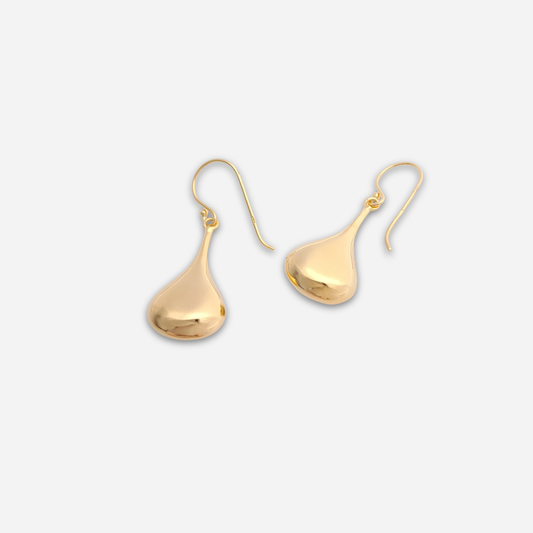 ISELA Gold Earrings